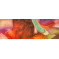 thumbnail image 2 of Demos, Jean-Luc 18x9 Gold Ornate Wood Framed with Double Matting Museum Art Print Titled - Nirvana, 2 of 4