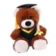 thumbnail image 1 of Oso de peluche de búho de graduación con birrete de toga Oso de peluche de graduación oso café, 1 of 9