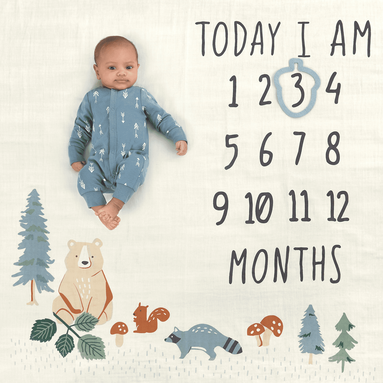 Baby boy month blanket sales