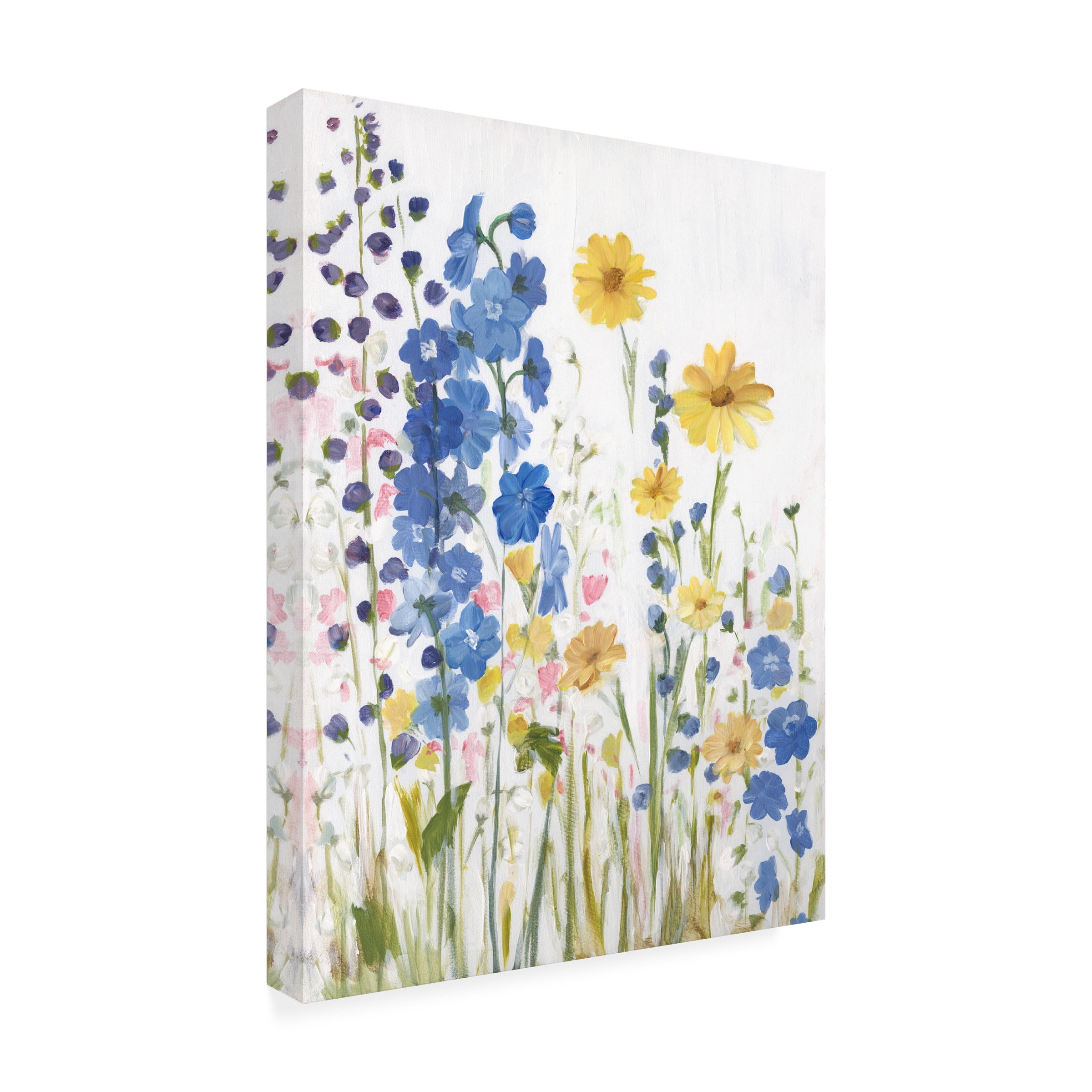 Sandra Iafrate 'Periwinkle Wildflowers I' Canvas Art