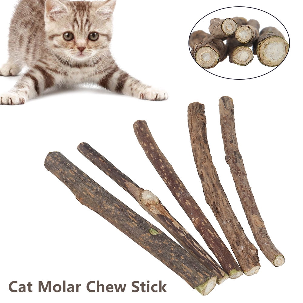 KTCINA Cat Molar Chew Stick