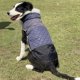 thumbnail image 5 of Reflectante abrigo de la mascota de invierno cálido perro de otoño y abrigo de invierno para perros pequeños medianos grandes de doble cara de desgaste, 5 of 6