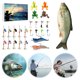 thumbnail image 3 of Juego Señuelos Pesca Calendario Cuenta Regresiva 24 Días Regalos para Hombres, 3 of 9