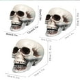thumbnail image 3 of Halloween skull head Halloween skeleton realistic fake simulation human skull model, 3 of 6