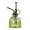 Green, variant on SPRING PARK Vintage Plant Spritzer Watering Can, Succulent Watering Bottle with Top Pump, Small Plant Sprayer Mister for Indoor Outdoor House Plant