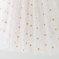 thumbnail image 5 of Fsqjgq Baby Girl Clothes Baby Girl Spring Outfits Summer 36 Months Girls Clothes Beige Toddler Girls Sleeveless Embroider Tulle Holiday Dress Dance Party Princess Floral Dresses Clothes 90, 5 of 5