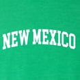 thumbnail image 5 of Wild Bobby State of New Mexico College Style Men Premium Tri Blend Tee, 5 of 5