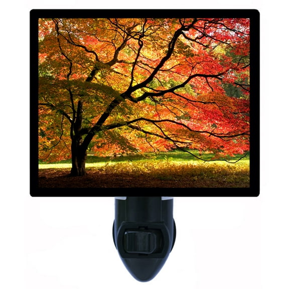 Night Light - Night Light Plus Extra Free Switchable Insert. 4 Watt Bulb, E12 Base. Japanese Maple.