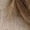 Khaki, variant on Women's Crew Neck Trim Short Sleeve Sweater for Spring Summer Office Commute Daily Wear