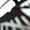Silver, variant on Hike Barefoot Shoes Athletic Hiking Minimalist Water Sneakers Wide Toe Box Running Shoe White 6.5