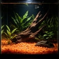 thumbnail image 6 of Fish Tank Decorations Rocks Little Glow in The Dark Aquarium Stones Fish Turtle Tank Pebbles Gravel Garden Rocks, 6 of 6