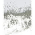thumbnail image 3 of Chandler, Sharon 12x14 Black Modern Framed Museum Art Print Titled - Lush Dunes V, 3 of 5