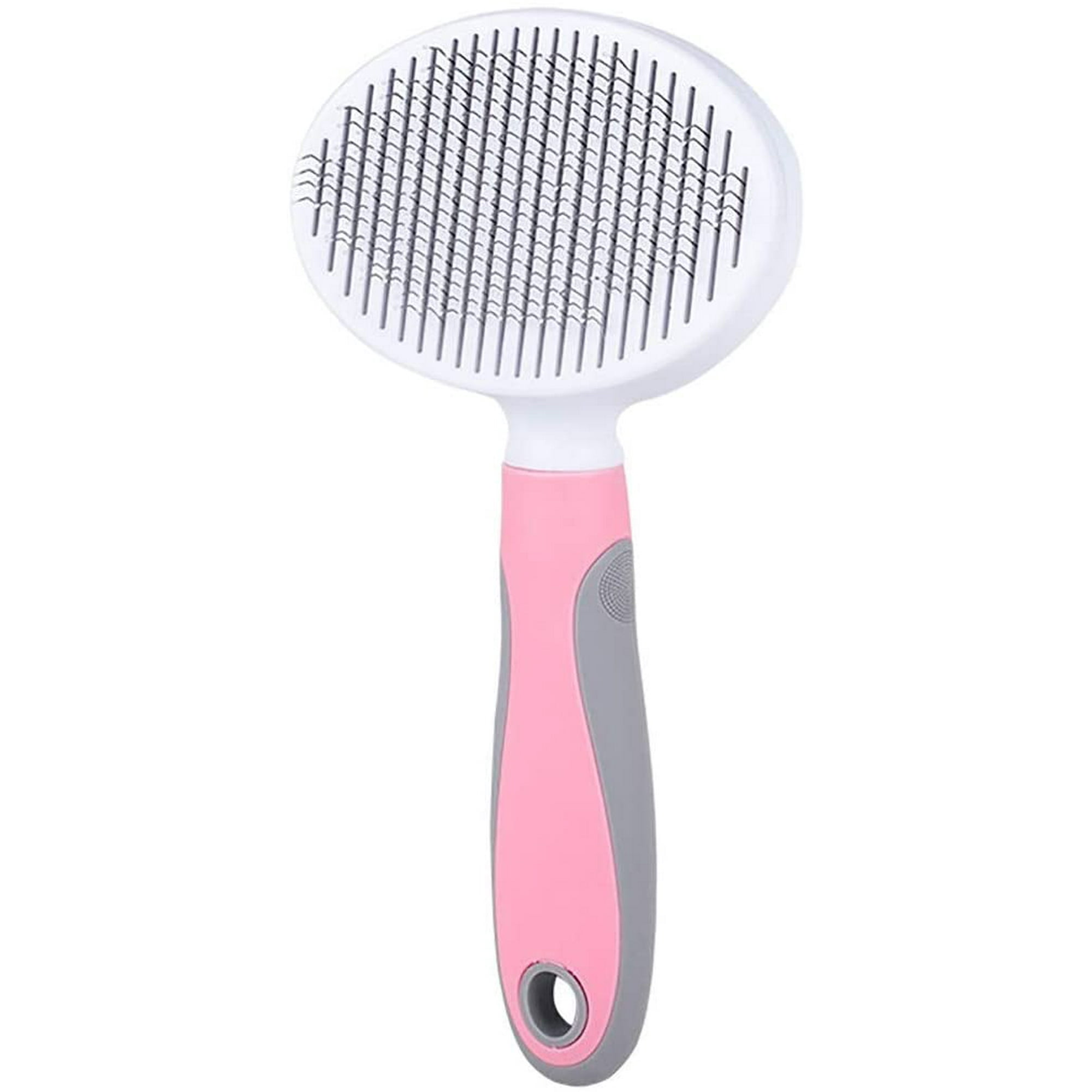 How Can I Clean My Dogs Bottom