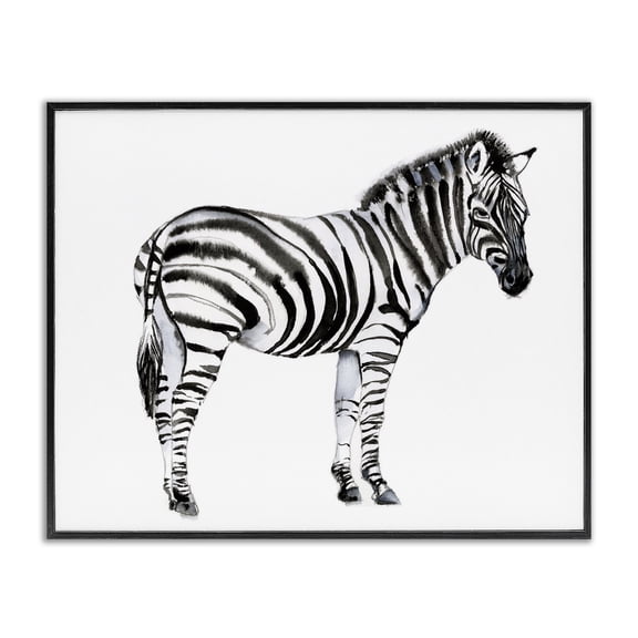 Stupell Industries Contemporary Zebra Standing Black And White Animal Watercolor Black Framed Giclee Art, 14 x 11, by Jennifer Goldberger