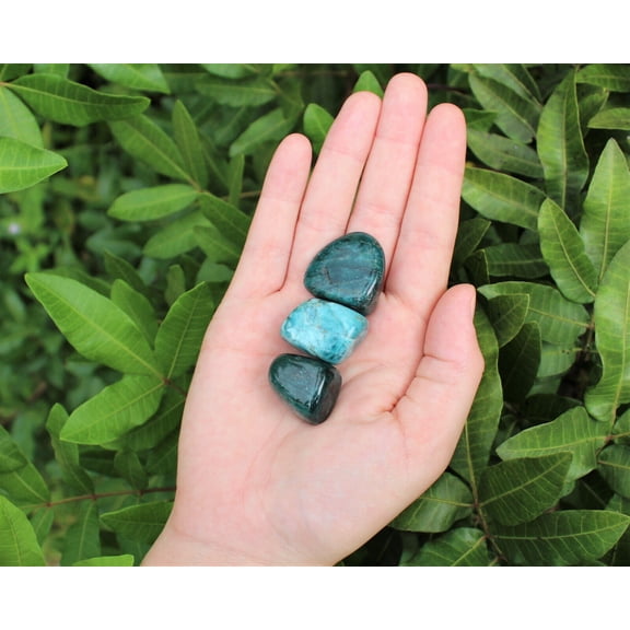 Blue Apatite Tumbled Stone: 3 Beautiful Pieces (Crystal Healing Tumble Reiki)