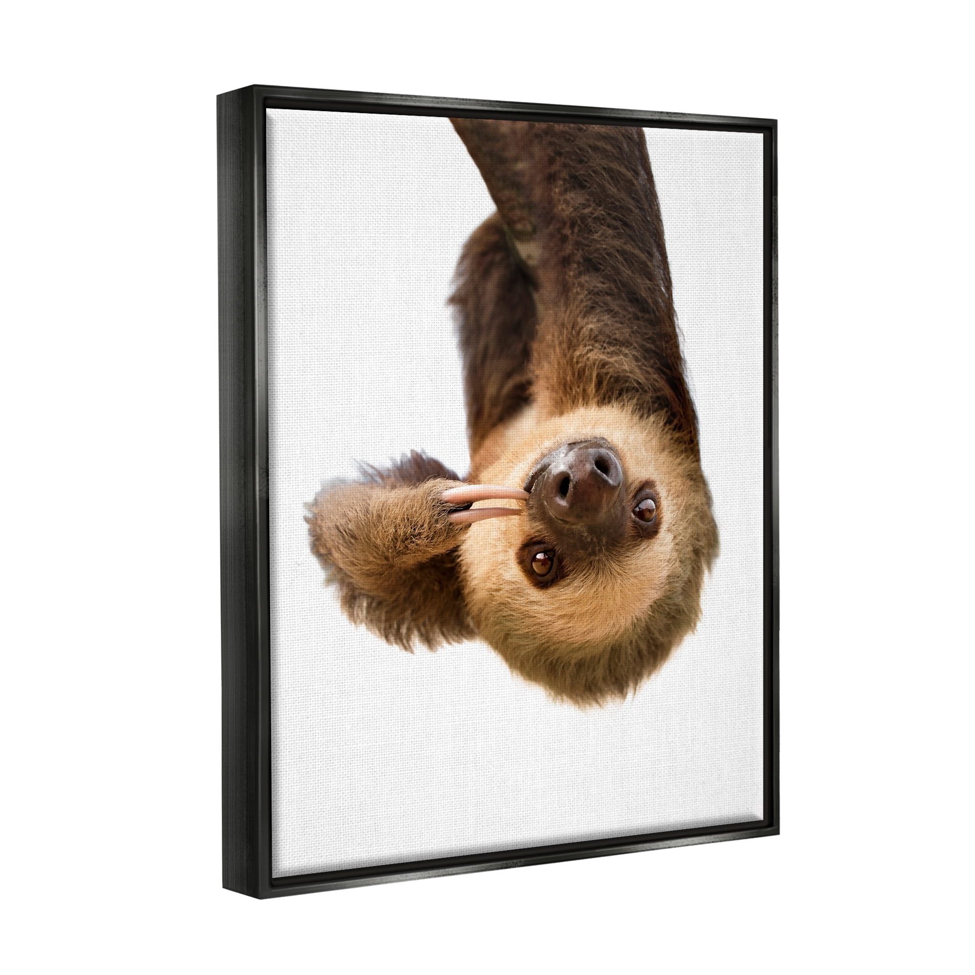 Stupell Industries Upside-down Sloth Portrait Animals & Insects Painting Black Floater Framed Art Print Wall Art, 17 x 21