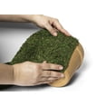 thumbnail image 4 of SuperMoss (22432 InstantGreen Moss Mat, Fresh Green, 1.5ft x 48ft, 4 of 4