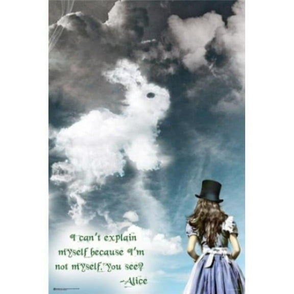 Posterazzi Alice in Wonderland Illusions Poster Print - 24 x 36 in.