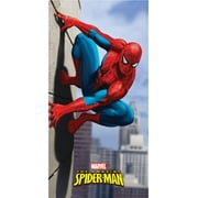 Disguise Costumes New The Amazing Spiderman On Building Decor Banner Flag