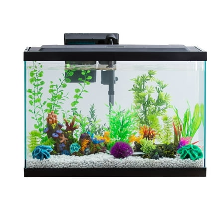 Aqua Culture 29-Gallon Aquarium Starter Kit With (Best 20 Gallon Saltwater Aquarium)