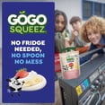 thumbnail image 5 of GoGo squeeZ Low Fat yogurtZ Strawberry Banana Yogurt Snack Pouches, 3 oz (16 pack), 5 of 11
