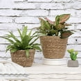thumbnail image 3 of LNGOOR 2 Pcs Petit Panier pour Plante Jardinière Tressée en Jonc, 3 of 8