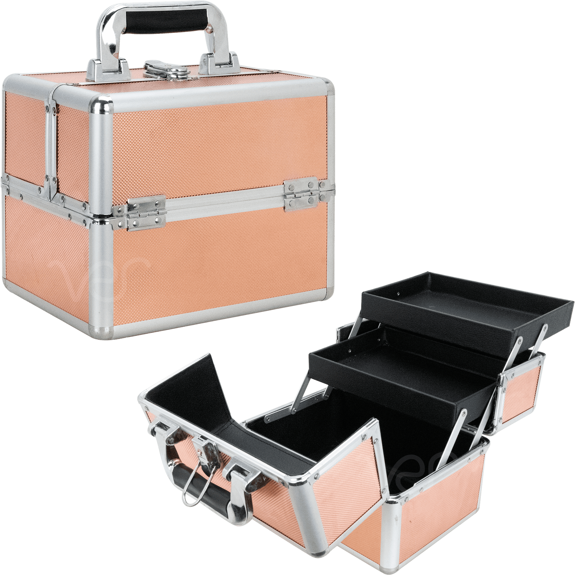 Ver Beauty Train Makeup Case Cosmetic Travel Bag Organizer with 2 Exetendable Trays and Keylocks 
