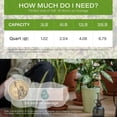thumbnail image 5 of 20lb Green Zeolite for Plants, 3/8" Natural Succulent Potting Soil Amendments, Decorative Gravel for Cactus, Bonsai Gritty Rock, Pebbles Pumice for Vase Fillers, Top Dressing, 5 of 12