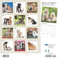 thumbnail image 3 of Kittens Puppies 2025 Square Plato Foil, 3 of 9