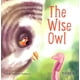 thumbnail image 1 of THE WISE OWL EDITORIAL TRILLAS SA DE CV MARIA ANGELICA VERDUZCO ALVAREZ-ICAZA, 1 of 2