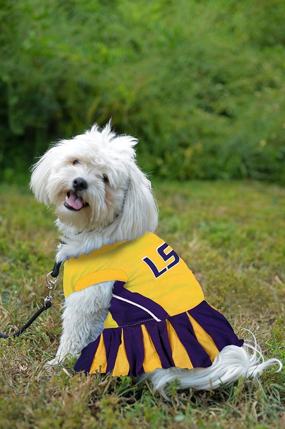 Lsu dog clothes sale