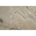 thumbnail image 6 of Nourison Divine Ash Area Rug, 6 of 8
