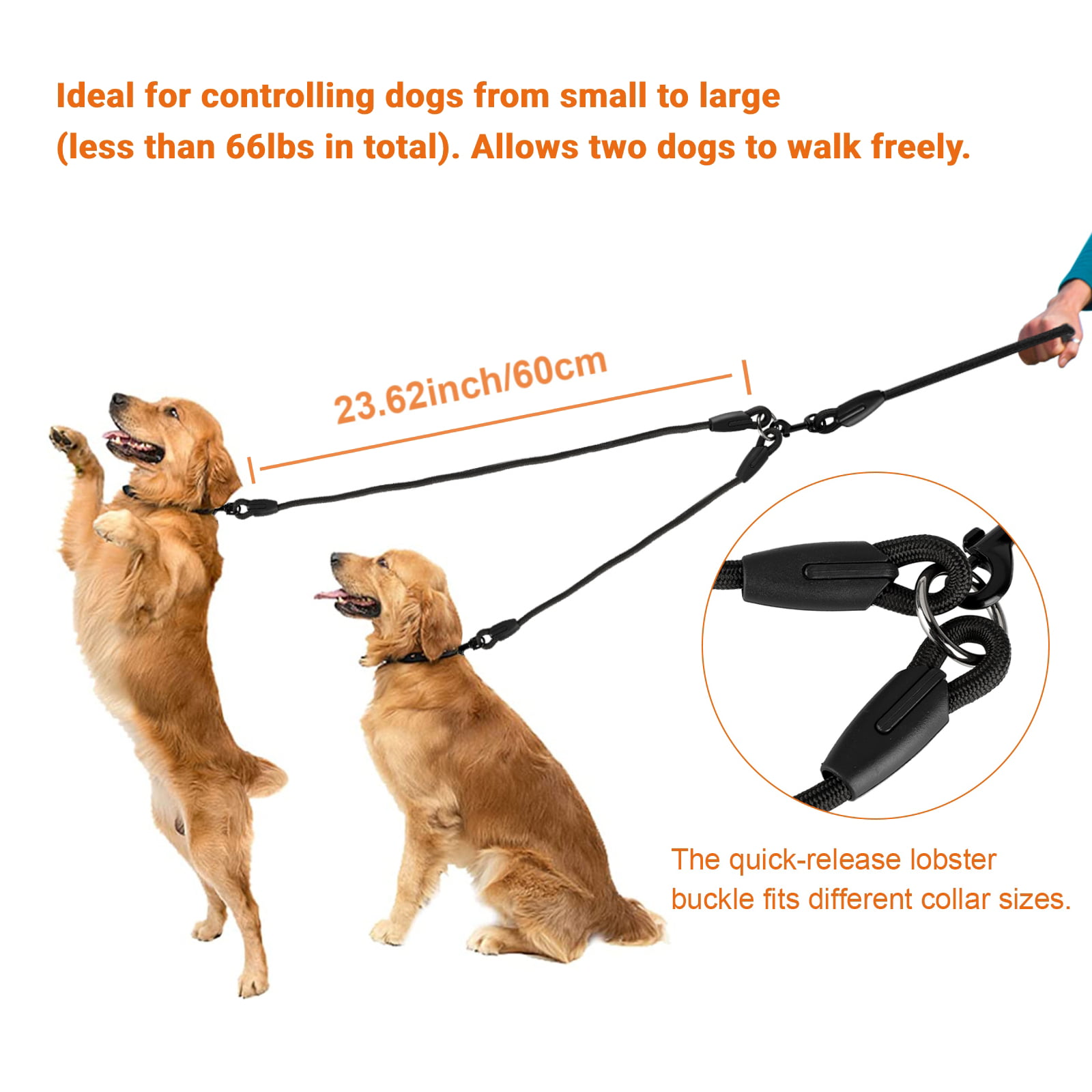 Double Dog Leash Cattech Dual Dog Leash 360 Swivel No Tangle Double Dog Walking Training Leash,Comfortable Reflective Bungee Double Leash for Dogs 