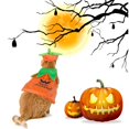 thumbnail image 3 of WILLED Halloween Cat Costume Pumpkin Cloak and Hat Set, Cute Pet Halloween Costumes for Cats and Kittens, Adjustable Soft Flannel, Festive Pumpkin Design for Halloween Parties Cosplay and Photo Props, 3 of 7