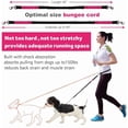 thumbnail image 3 of Huggeg Laisse pour Chien Mains Libres pour Course Marche Entraînement Randonnée, Poignée Double Réfléchissante, Pochette Distributrice de Sacs de Caca, Ceinture Ajustable, Absorbant les Chocs, Idéal pour Moyen à Grand AZ824-1144, 3 of 7