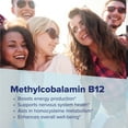 thumbnail image 6 of Superior Source No Shot Methylcobalamin B-12 10000 mcg - Vitamin B-12 to Support Energy Production, Brain Health & Overall Wellness - Sublingual Tablets for Quick Absorption - 30 Dissolving Tablets, 6 of 9