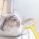 thumbnail image 1 of RKSTN cat Grooming Brush Pet Grooming Brush Double Sided Shedding And Dematting Undercoat Rake Comb For Dogs And Cats Extra Wide Dog Grooming Brush Dog Shedding Brush, 1 of 7
