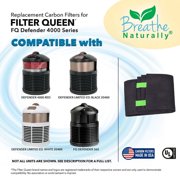 Filter Queen Defender 4000 Series Replacement Carbon Pre Filter 6 Pack