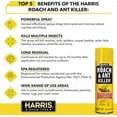 thumbnail image 3 of Harris Ant & Roach Killer 16 Ounce Aerosol Spray, 3 of 6