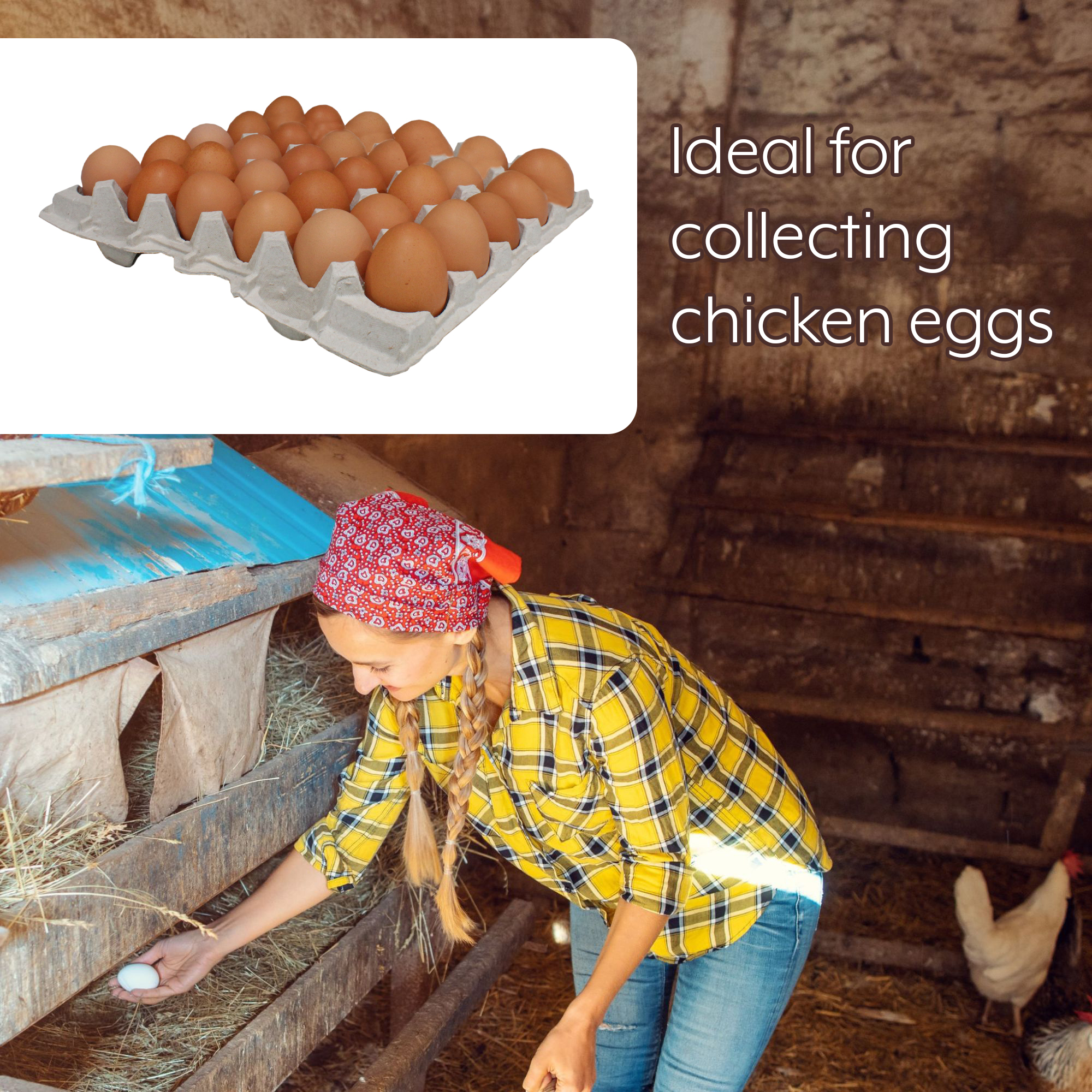 Cornucopia Brands 30-Count Egg Flats (18 Trays); Biodegradable Recycled Material Chicken Egg Cartons, Each Holds 30 Eggs