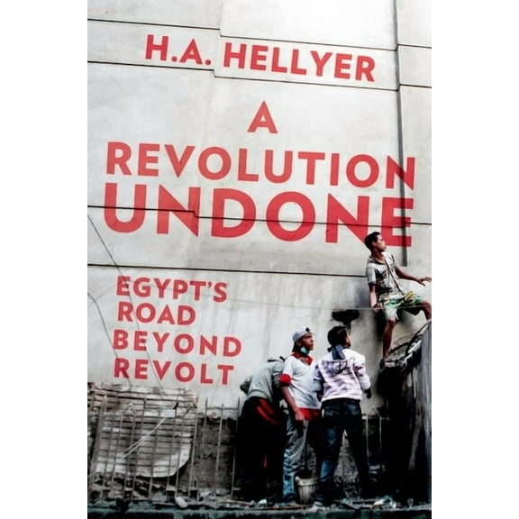A Revolution Undone: Egypt's Road Beyond Revolt