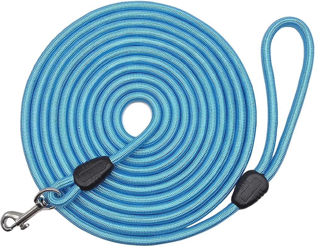 long backyard dog leash
