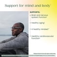 thumbnail image 5 of MegaFood Extra Strength Methyl B12 Vitamin - Vegan, Gluten-Free - 90 Capsules, 90 Servings, 5 of 10