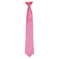 thumbnail image 1 of Premier  Adult Satin Tie, 1 of 2