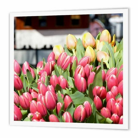3dRose Netherlands, Amsterdam, Market tulip flowers - EU20 LEN0168 - Lisa S. Engelbrecht, Iron On Heat Transfer, 10 by 10-inch, For White (Best Iron On The Market)