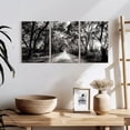 thumbnail image 3 of Elephant Stock Bw Forest Path Wall Art - Horizontal Multi Panel Canvas - Living Room Wall Decor - Floral And Botanical Multi Panel - Black And Beige Decor - 26" x 12", 3 of 8