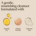 thumbnail image 5 of Aveeno Calm + Restore Gentle Foaming Cleanser for Sensitive Skin, 5 of 14