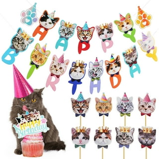 Cat Decorations Party