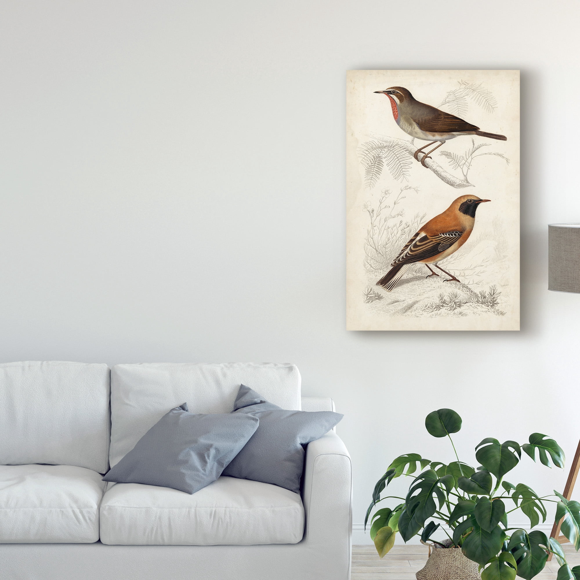 Trademark Fine Art 'D'Orbigny Birds VI' Canvas Art by M. Charles D'Orbigny