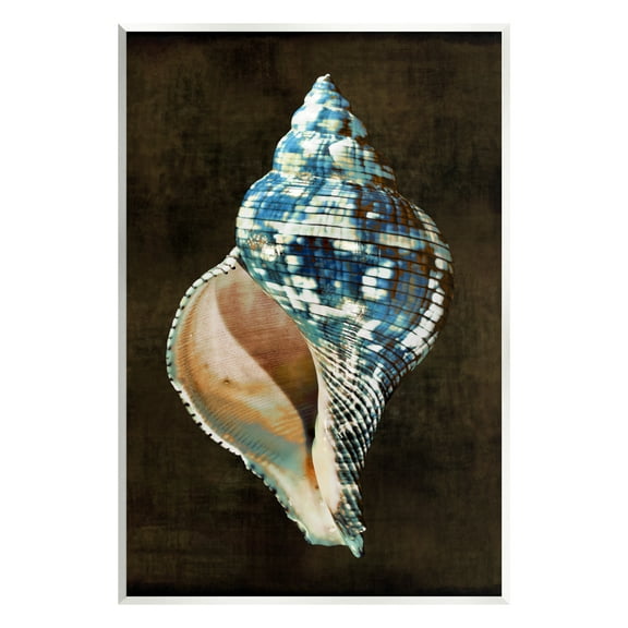Stupell Industries Dark Patterned Conch Shell Nature Painting Unframed Art Print Wall Art, 10 x 15